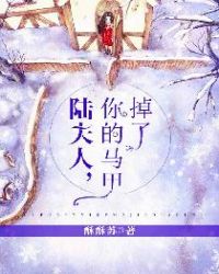 夫人你的马甲又掉了讲的是什么